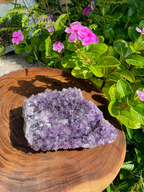 Amethyst Cluster Crystal
