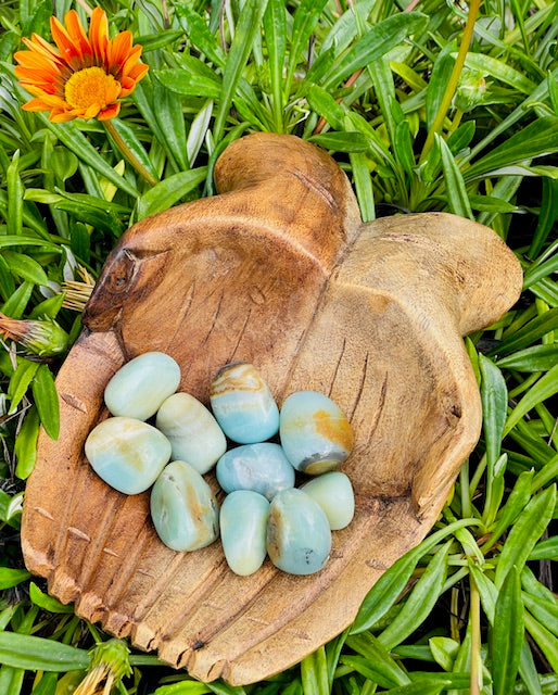 Tumbled Amazonite Crystal